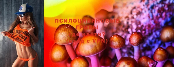 бошки Беломорск